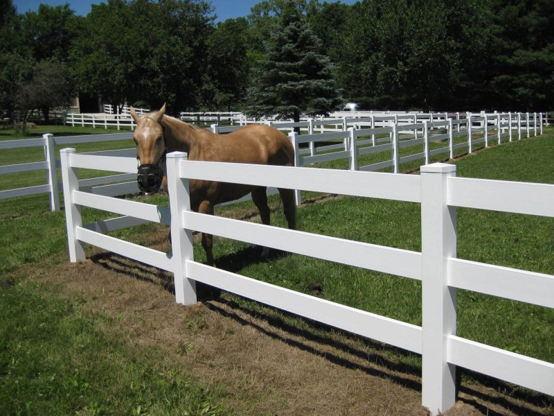 Bullseye Fence Design provides years of Hamilton County Fence Company experience in agricultural fencing image shows horse next to fence